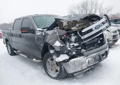 1FTFW1EF3DFC68040: 44145125