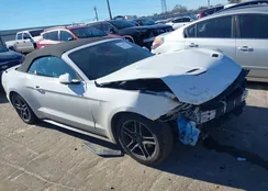 1FATP8UH7N5119154: 44145467