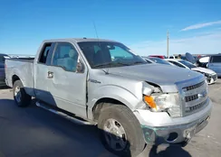 1FTFX1CT4EKF77434: 44146477