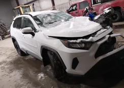 2T3G1RFV8MC166384: 44146529