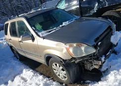 SHSRD78895U339565: 44147065