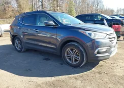 5NMZUDLB2HH049938: 44146095