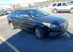 5NPE24AF9GH379040: 44146100