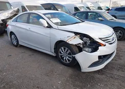 5NPEB4AC3EH876331: 44146169