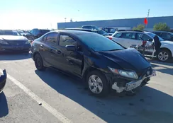 19XFB2F59EE230184: 44146177