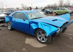 2C3CDZAG8KH729237: 44146212