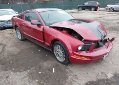 1ZVHT80N885103313: 44146363