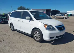 5FNRL3H65AB007439: 44147504