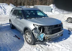 1FM5K7B85DGA32530: 44147899