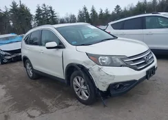 5J6RM4H76EL037204: 44147919