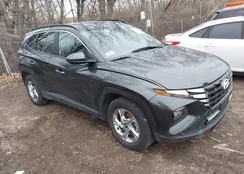 5NMJBCDE4RH349536: 44148281