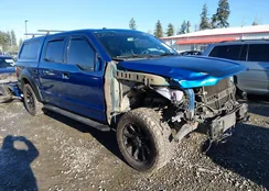 1FTEW1EF0HFC07312: 44148324