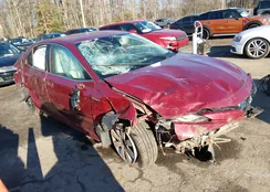 4T1F31AK9LU530175: 44148344