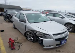 1G1ZB5E10BF148996: 44149882