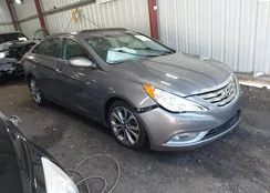 5NPEC4AB9DH721110: 44149978