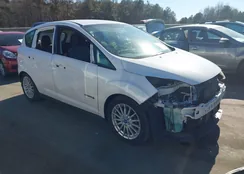 1FADP5AU7DL513364: 44151643