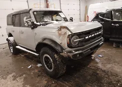 1FMEE5DP6PLB53224: 44151341