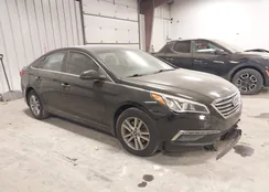 5NPE24AF5FH163961: 44151351