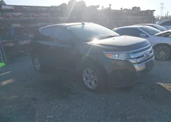 2FMDK4GC9EBB67803: 44152101