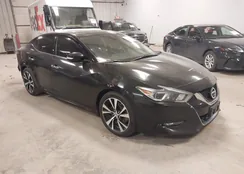 1N4AA6AP6JC407679: 44153408