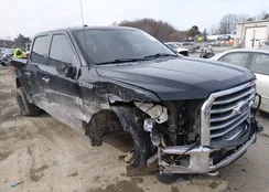 1FTEW1EF4GFB38803: 44154527