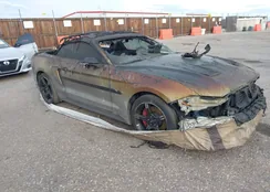 1FATP8FFXK5120967: 44154712