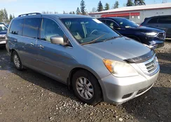 5FNRL38498B075803: 44154772