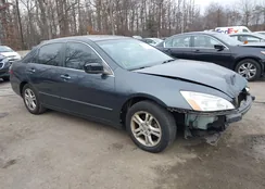 1HGCM56886A066893: 44155951