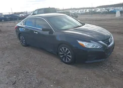 1N4AL3AP5HC116643: 44155343