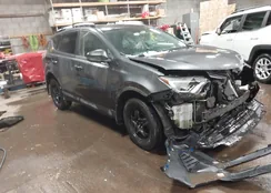 JTMBFREV3GJ104213: 44156599