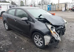 KNADN4A30D6310541: 44156978