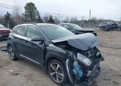 KM8K33A59JU079024: 44156989