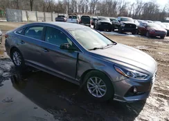 5NPE24AF4JH712932: 44156203