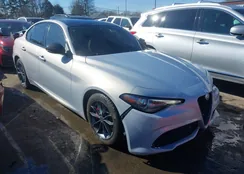 ZARFAMBN8M7647580: 44156388