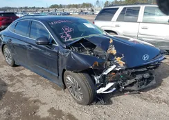 KMHL54JJ3RA097923: 44157641