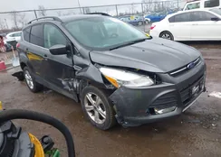 1FMCU0GX2FUC59333: 44158768