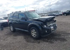 1FMCU9E71CKC78146: 44158311