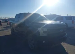 1FTEW1EG8HKC68875: 44158360