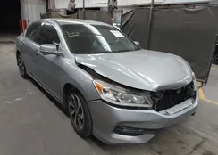 1HGCR3F85HA032449: 44159487