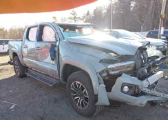 3TMCZ5AN0PM536027: 44159538