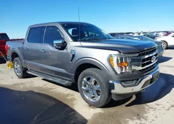 1FTFW1E81NFB11691: 44159851