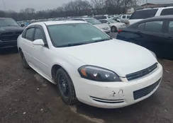 2G1WD5EM1B1274279: 44159102