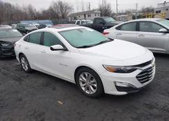 1G1ZD5ST4KF105570: 44159214