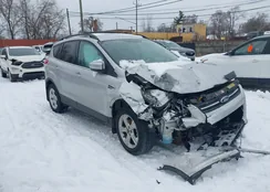 1FMCU0GX4EUA08652: 44160555