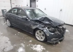 WDDGF8BBXBR141446: 44160390