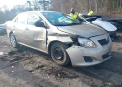 2T1BU4EE1AC244014: 44161829