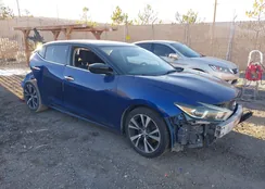 1N4AA6AP5GC384906: 44162053