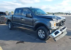 1FTEW1E47KKC52986: 44161354