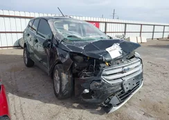 1FMCU0G9XHUD66974: 44162464