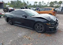 1FA6P8TH3L5157900: 44162189